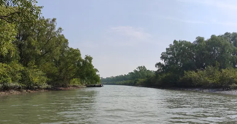 সুন্দরবনের অভ্যন্তরীণ নদী